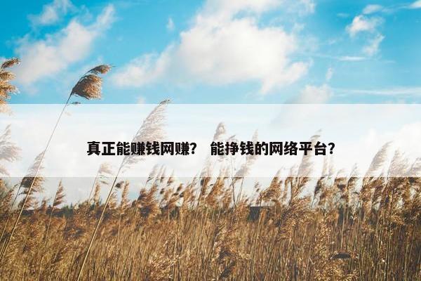 真正能赚钱网赚？ 能挣钱的网络平台？