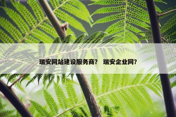 瑞安网站建设服务商？ 瑞安企业网？