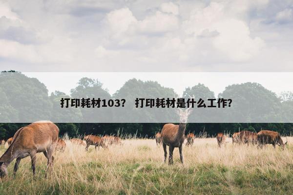 打印耗材103？ 打印耗材是什么工作？
