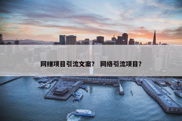 网赚项目引流文案？ 网络引流项目？