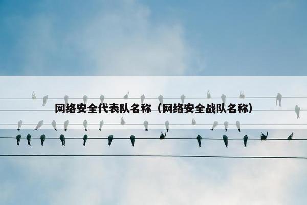 网络安全代表队名称（网络安全战队名称）