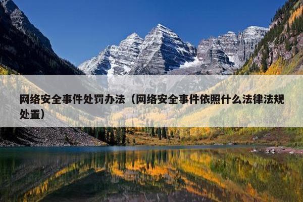 网络安全事件处罚办法（网络安全事件依照什么法律法规处置）