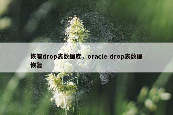 恢复drop表数据库，oracle drop表数据恢复
