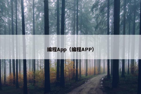编程App（编程APP）