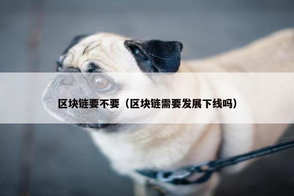 区块链要不要（区块链需要发展下线吗）