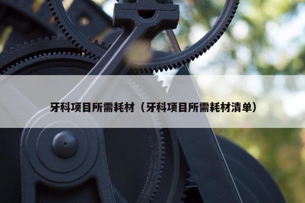牙科项目所需耗材（牙科项目所需耗材清单）