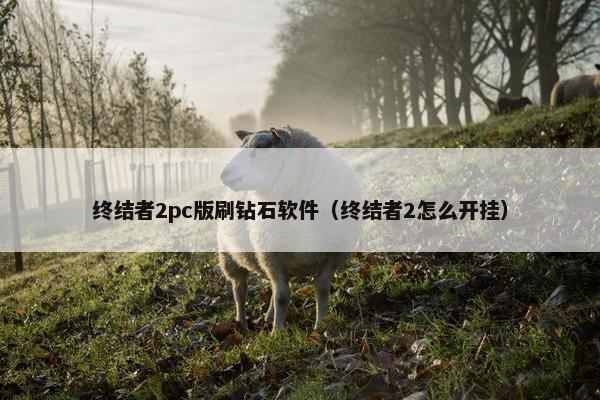 终结者2pc版刷钻石软件（终结者2怎么开挂）