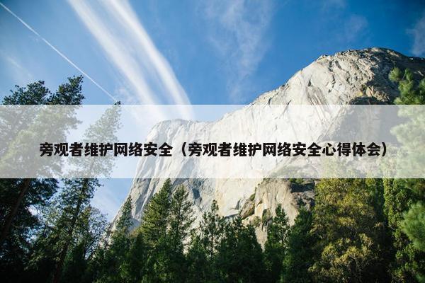 旁观者维护网络安全（旁观者维护网络安全心得体会）