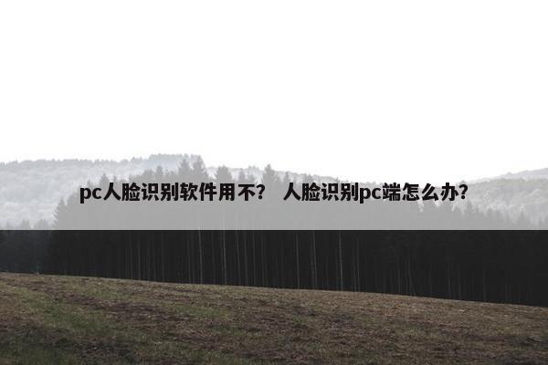 pc人脸识别软件用不？ 人脸识别pc端怎么办？
