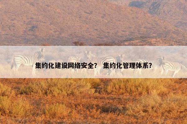 集约化建设网络安全？ 集约化管理体系？
