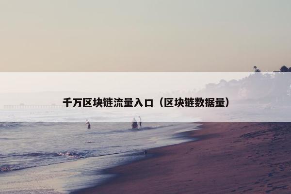 千万区块链流量入口（区块链数据量）