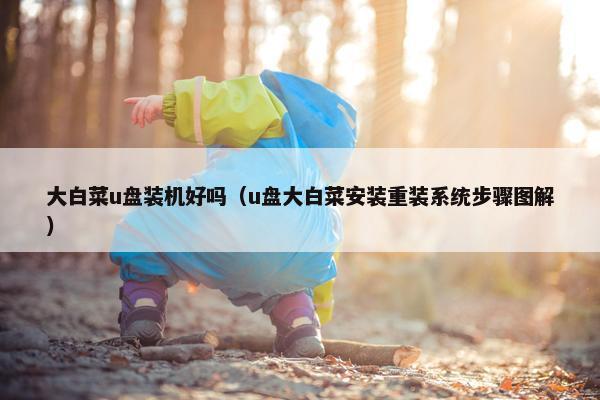 大白菜u盘装机好吗（u盘大白菜安装重装系统步骤图解）