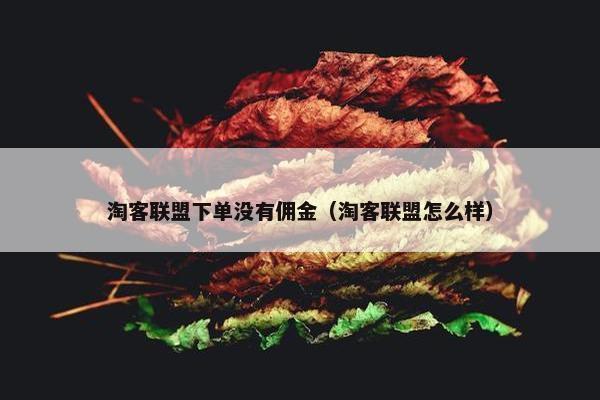 淘客联盟下单没有佣金（淘客联盟怎么样）