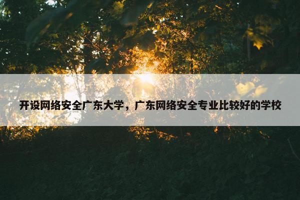 开设网络安全广东大学，广东网络安全专业比较好的学校