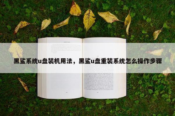黑鲨系统u盘装机用法，黑鲨u盘重装系统怎么操作步骤