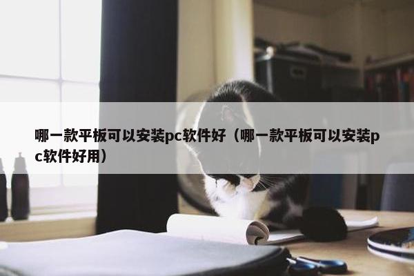 哪一款平板可以安装pc软件好（哪一款平板可以安装pc软件好用）