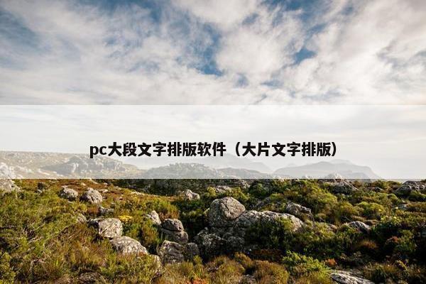 pc大段文字排版软件（大片文字排版）