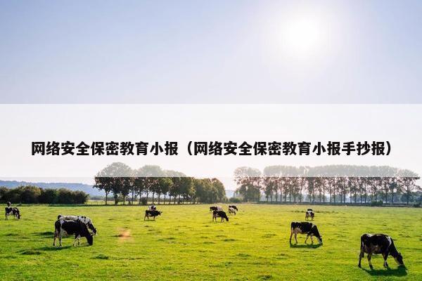 网络安全保密教育小报（网络安全保密教育小报手抄报）