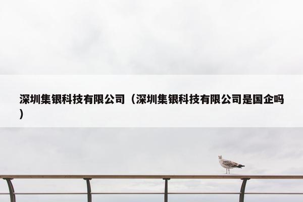 深圳集银科技有限公司（深圳集银科技有限公司是国企吗）