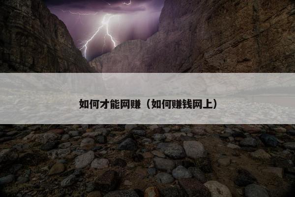 如何才能网赚（如何赚钱网上）