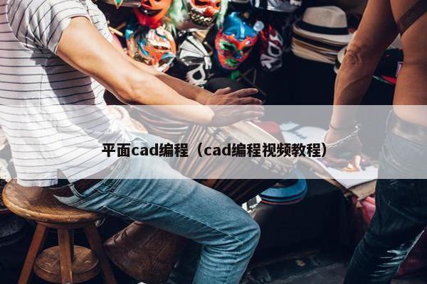 平面cad编程（cad编程视频教程）