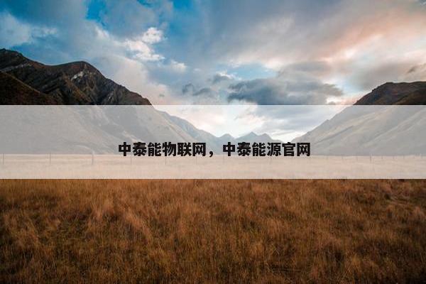 中泰能物联网，中泰能源官网