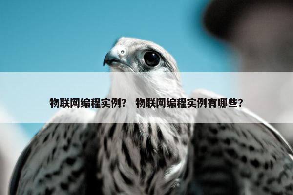 物联网编程实例？ 物联网编程实例有哪些？