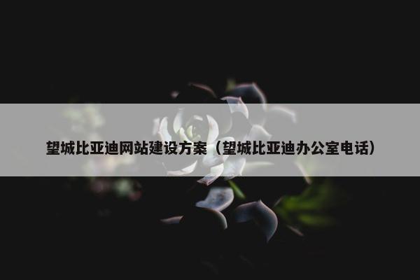 望城比亚迪网站建设方案（望城比亚迪办公室电话）