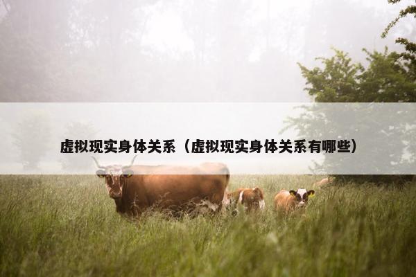 虚拟现实身体关系（虚拟现实身体关系有哪些）