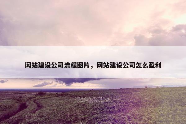 网站建设公司流程图片，网站建设公司怎么盈利