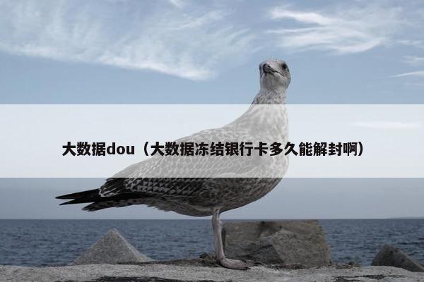 大数据dou（大数据冻结银行卡多久能解封啊）