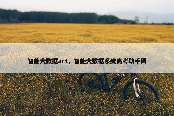 智能大数据art，智能大数据系统高考助手网