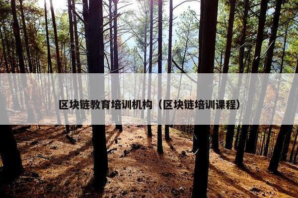 区块链教育培训机构（区块链培训课程）