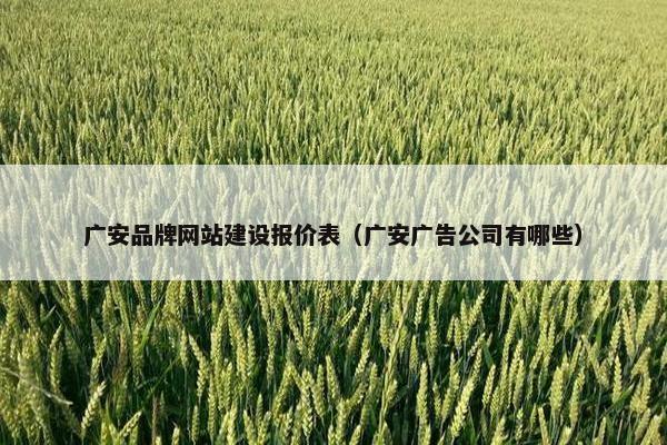 广安品牌网站建设报价表（广安广告公司有哪些）