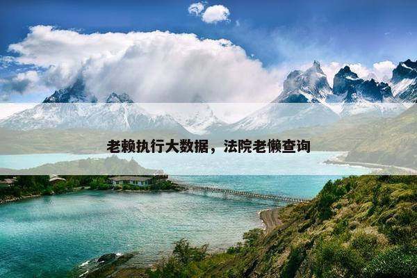 老赖执行大数据，法院老懒查询