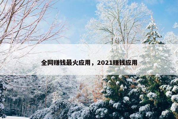 全网赚钱最火应用，2021赚钱应用