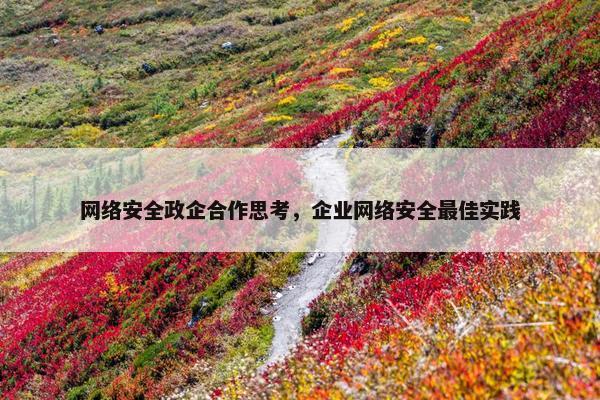网络安全政企合作思考，企业网络安全最佳实践