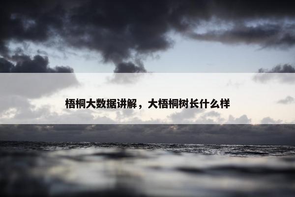 梧桐大数据讲解，大梧桐树长什么样