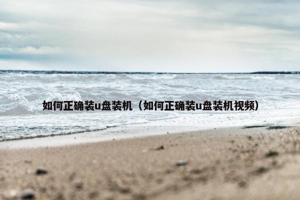 如何正确装u盘装机（如何正确装u盘装机视频）