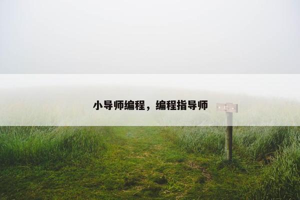 小导师编程，编程指导师