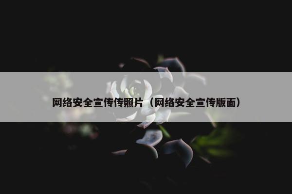 网络安全宣传传照片（网络安全宣传版面）