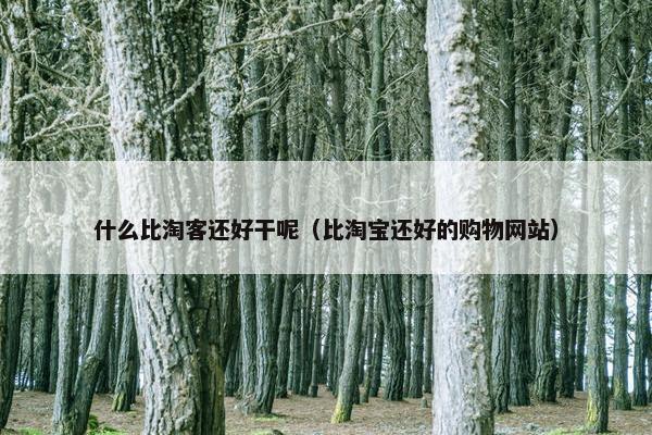 什么比淘客还好干呢（比淘宝还好的购物网站）