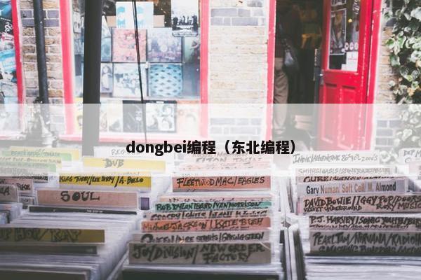 dongbei编程（东北编程）