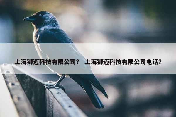 上海狮迈科技有限公司？ 上海狮迈科技有限公司电话？