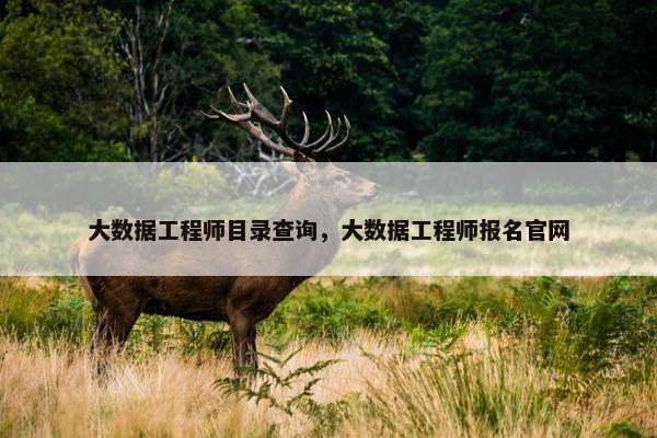 大数据工程师目录查询，大数据工程师报名官网