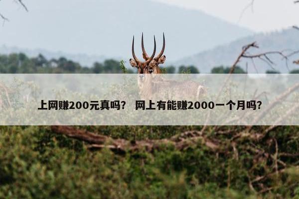 上网赚200元真吗？ 网上有能赚2000一个月吗？