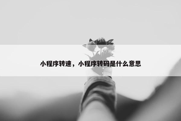 小程序转速，小程序转码是什么意思