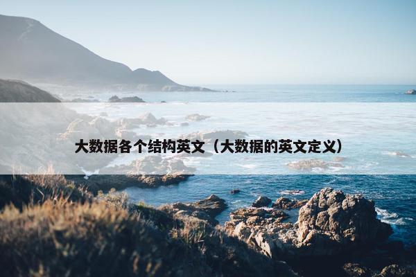 大数据各个结构英文（大数据的英文定义）