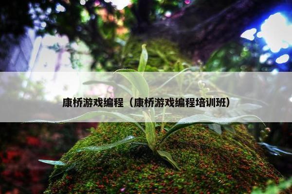 康桥游戏编程（康桥游戏编程培训班）