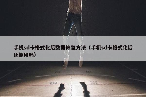 手机sd卡格式化后数据恢复方法（手机sd卡格式化后还能用吗）
